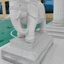 邢台 白麻花岗岩动物异形石雕-大象