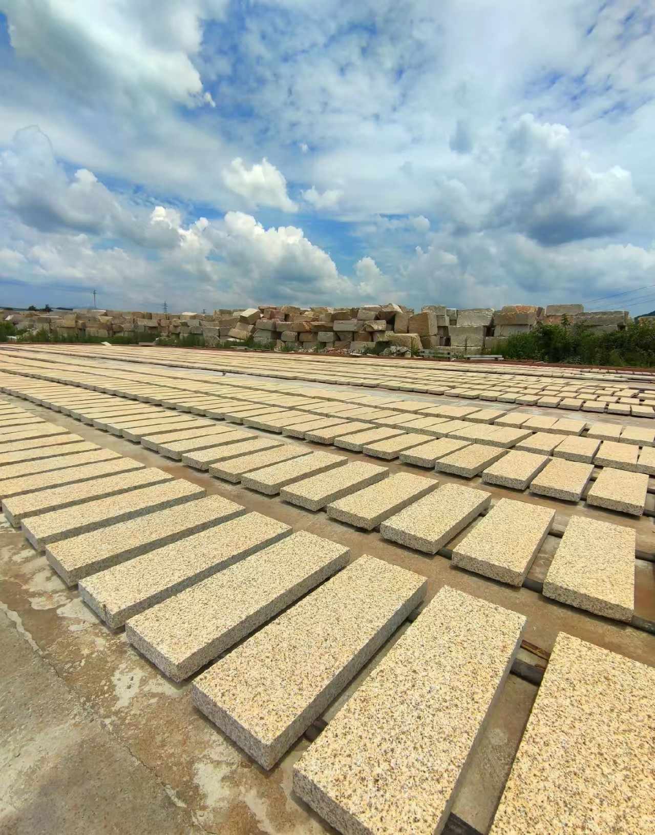 邢台 黄金麻荔枝面花岗岩石材地铺石防护中