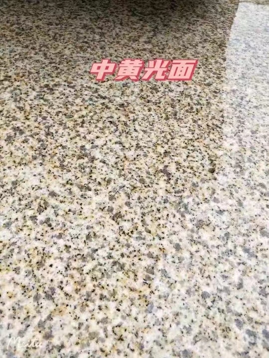 邢台黄金麻中黄光面
